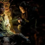 the last of us