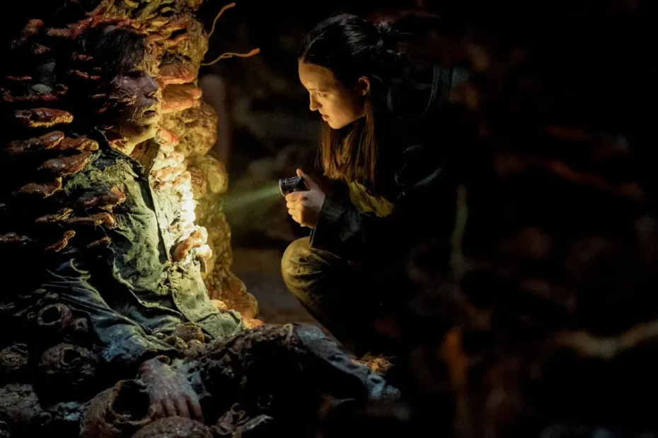 the last of us